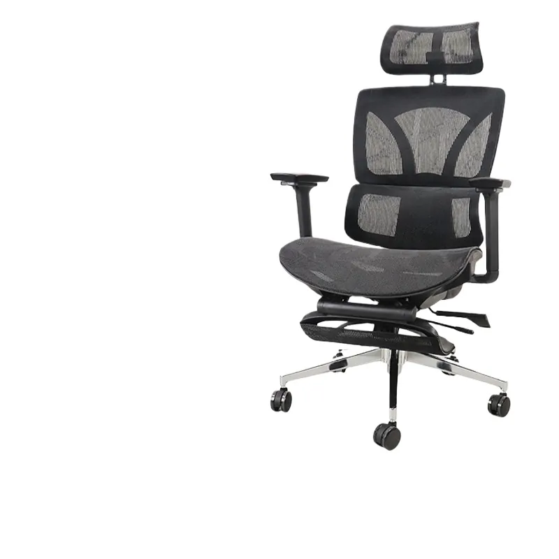 Home Office Ergonomics - Chaise de bureau ergonomique Ruijing Xi,