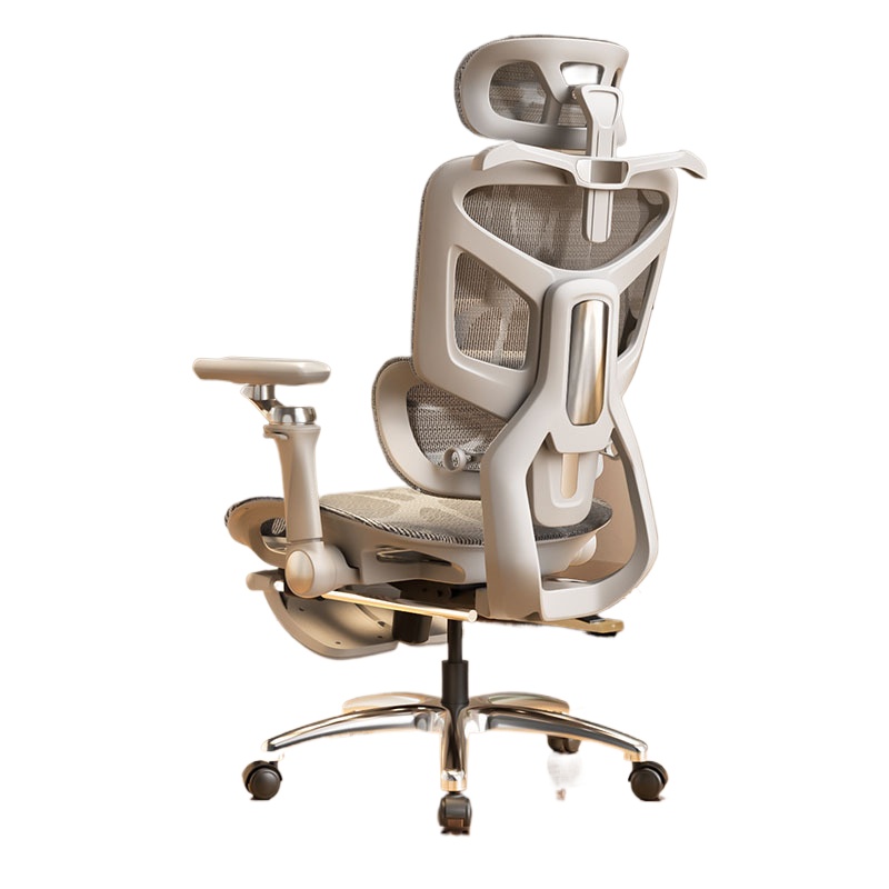 Home Office Ergonomics - Chaise de bureau ergonomique pour le