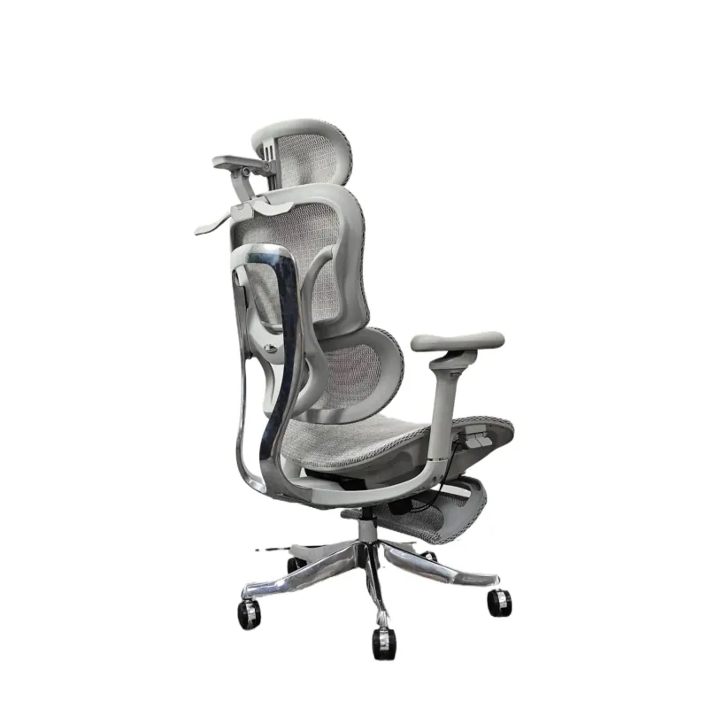 Chaise de bureau ergonomique p - Home Office Ergonomics avis et prix