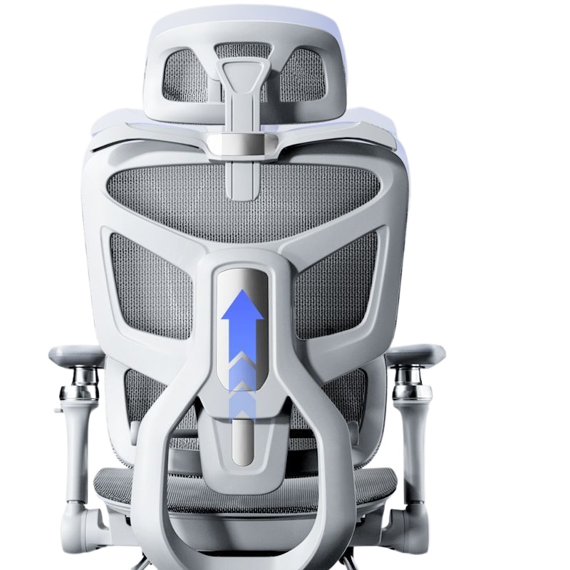 Chaise de bureau ergonomique p - Home Office Ergonomics avis et prix
